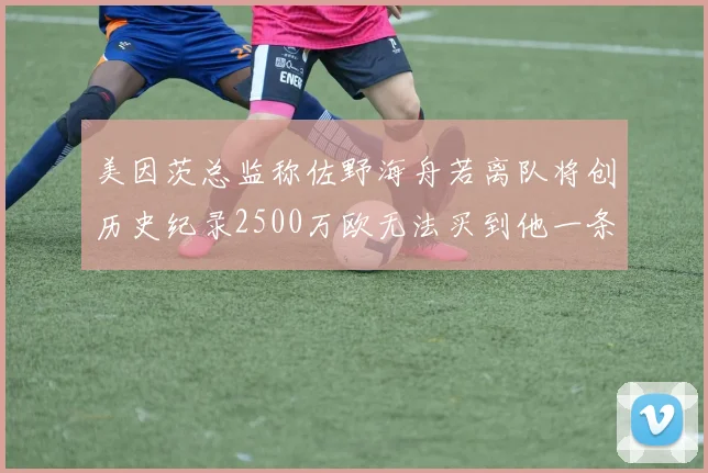 美因茨总监称佐野海舟若离队将创历史纪录2500万欧无法买到他一条腿