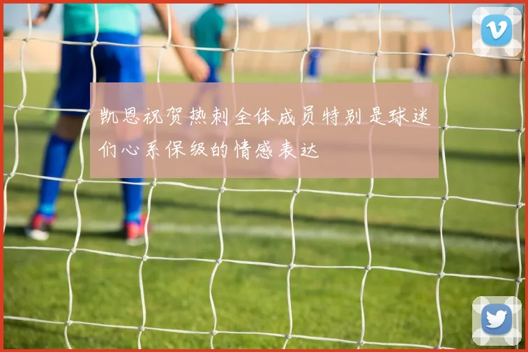 凯恩祝贺热刺全体成员特别是球迷们心系保级的情感表达